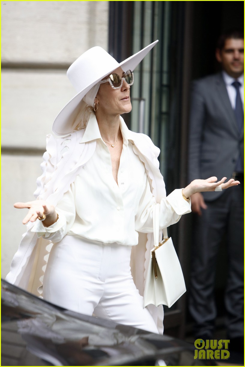 why celine dion looks old
