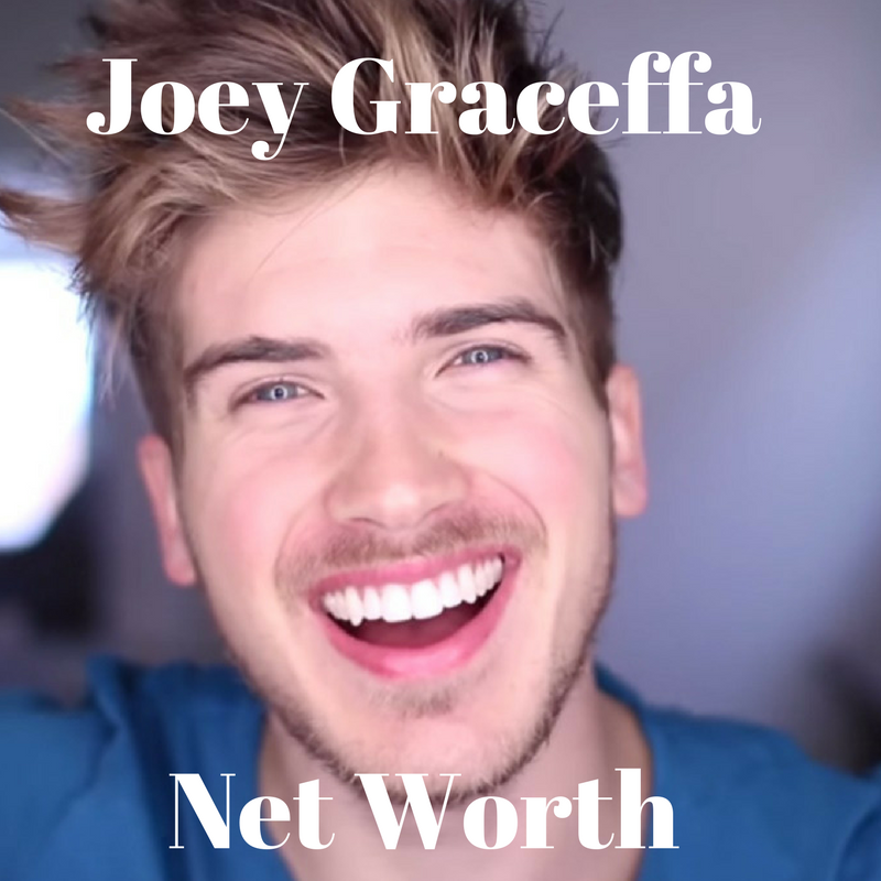joey sturgis net worth